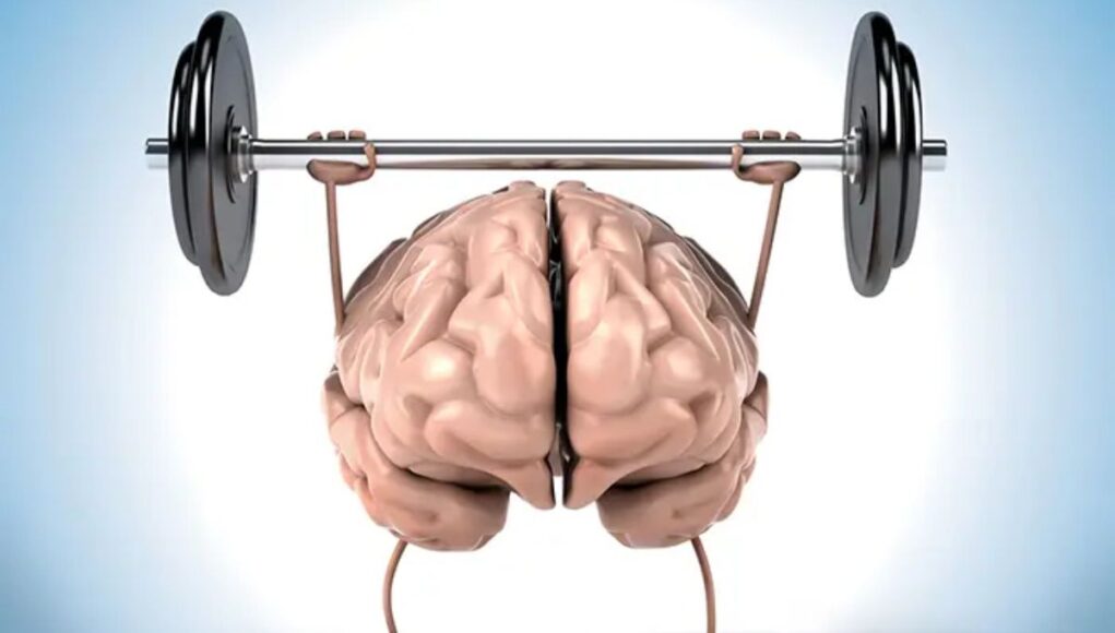 Exercises for Your Brain